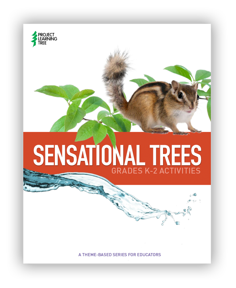 Sensational Trees